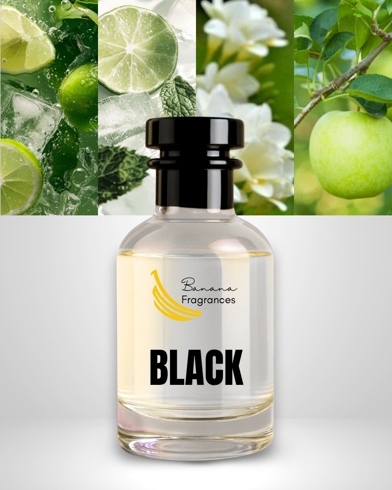 Black – Impression of Hugo Black